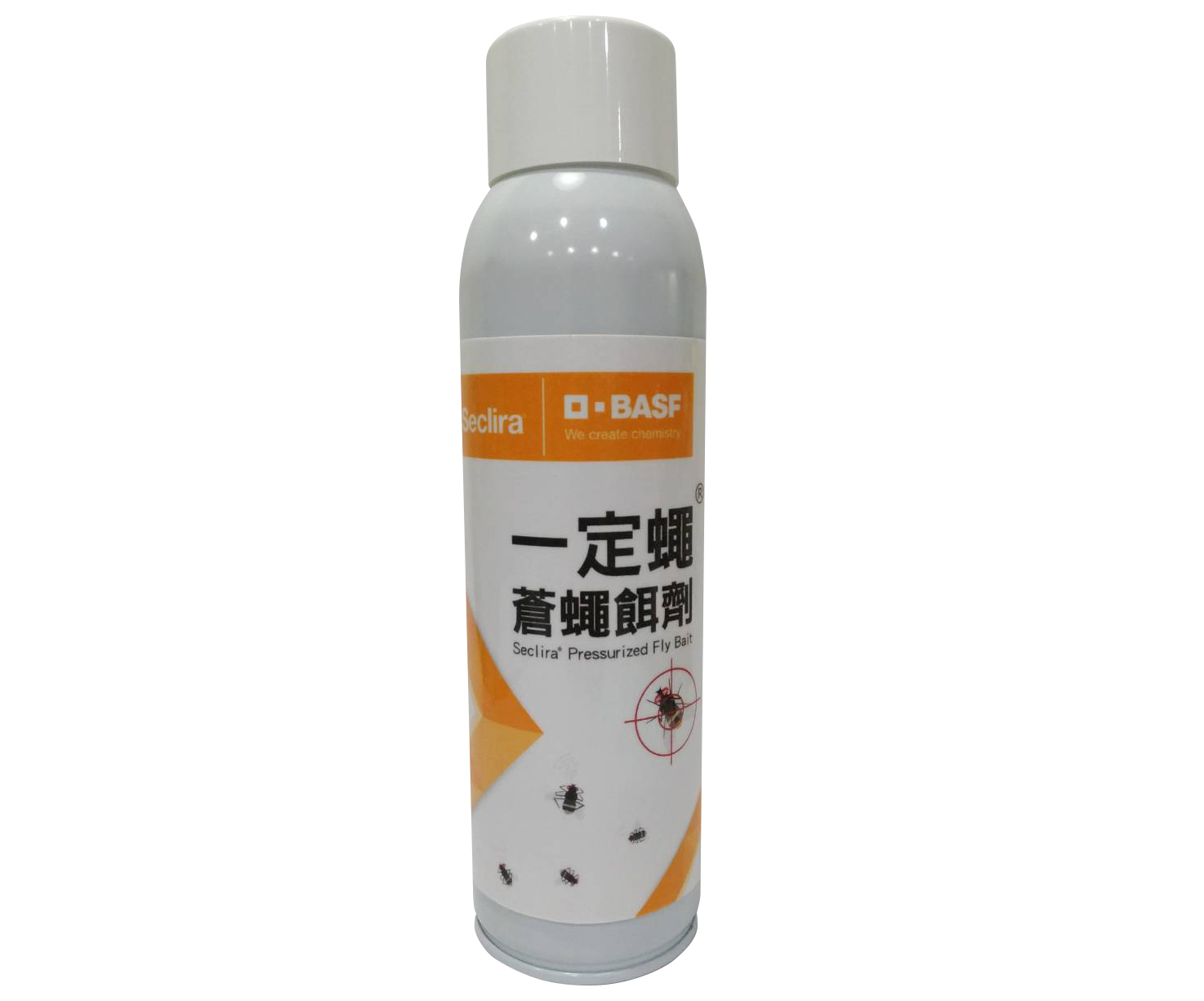 一定蠅 一定蠅