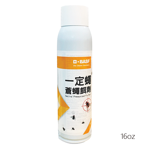 一定蠅 一定蠅